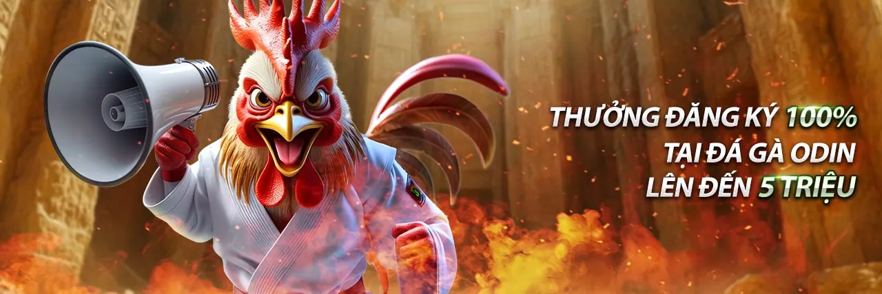 Đá gà trực tuyến kịch tính tại Thiên Hạ Bet